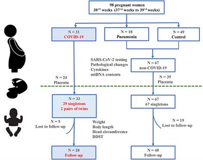 Transient Early Fine Motor Abnormalities in Infants Born to COVID-19 Mothers Are Associated With Placental Hypoxia and Ischemia